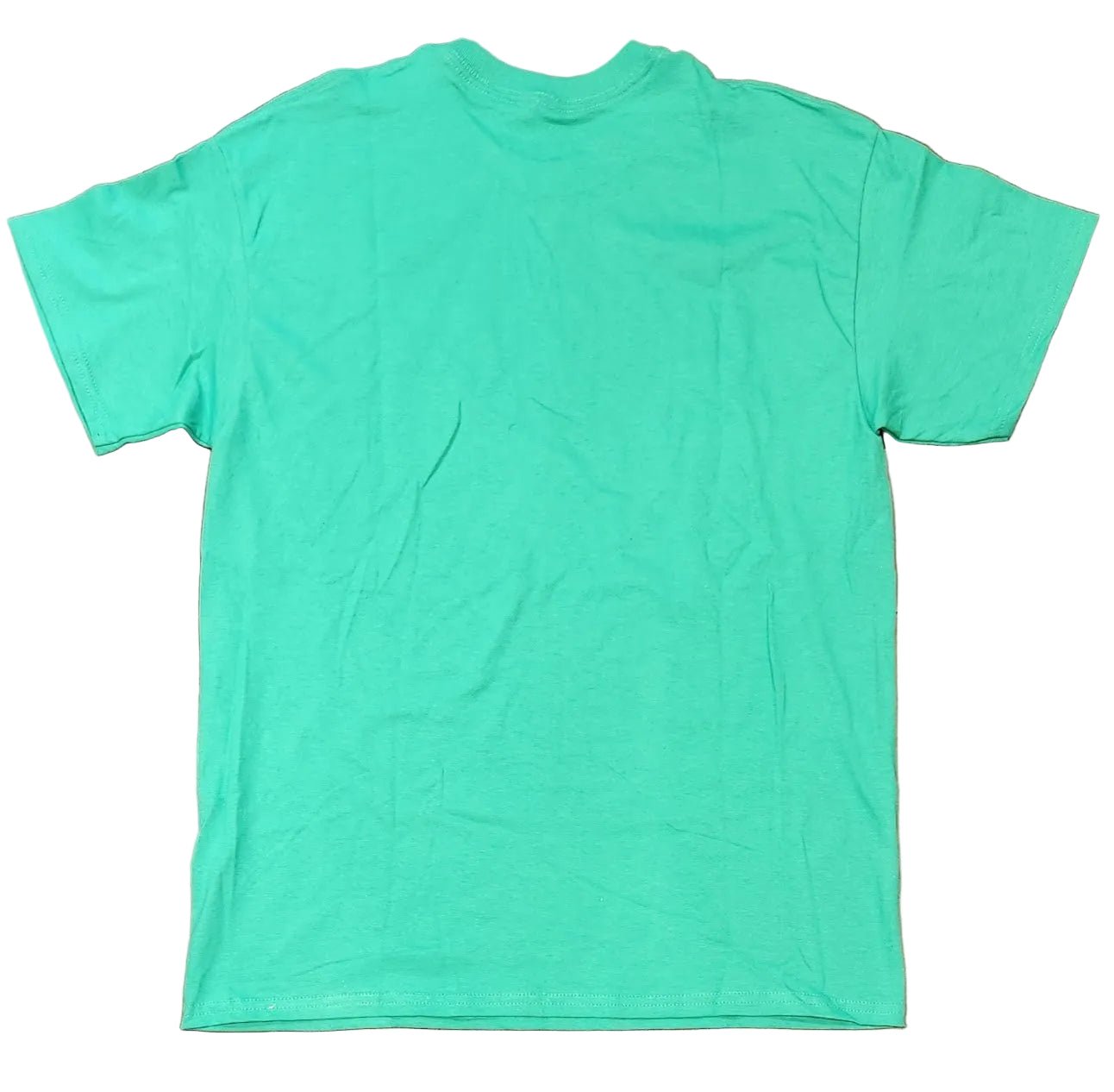 She - nannigans Chicago Paddy's Day T-Shirt - LMG Shop